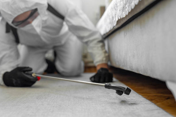 Professional Pest Control technician working in Shanor-Northvue, PA