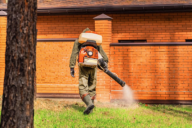 Trusted Cockroach Control service in Shanor-Northvue, PA - Nex Pest Control